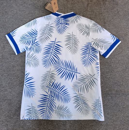 Brésil 22/23 blanc & bleu
